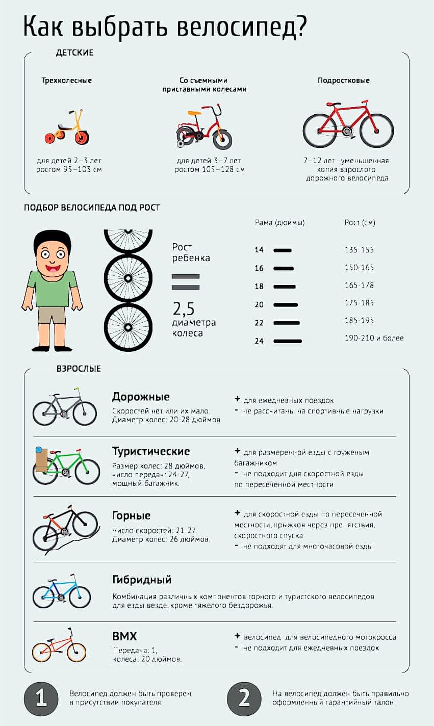 velo rost